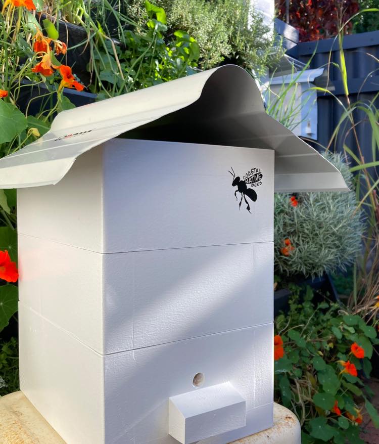 our bee boxes 🐝🏠 Solid timber in... - Coastal Native Bees
