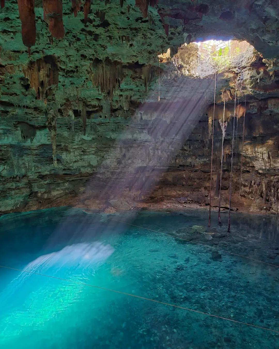 TOP - Luz natural, raíces colgantes y aguas cristalinas. Así es el ...