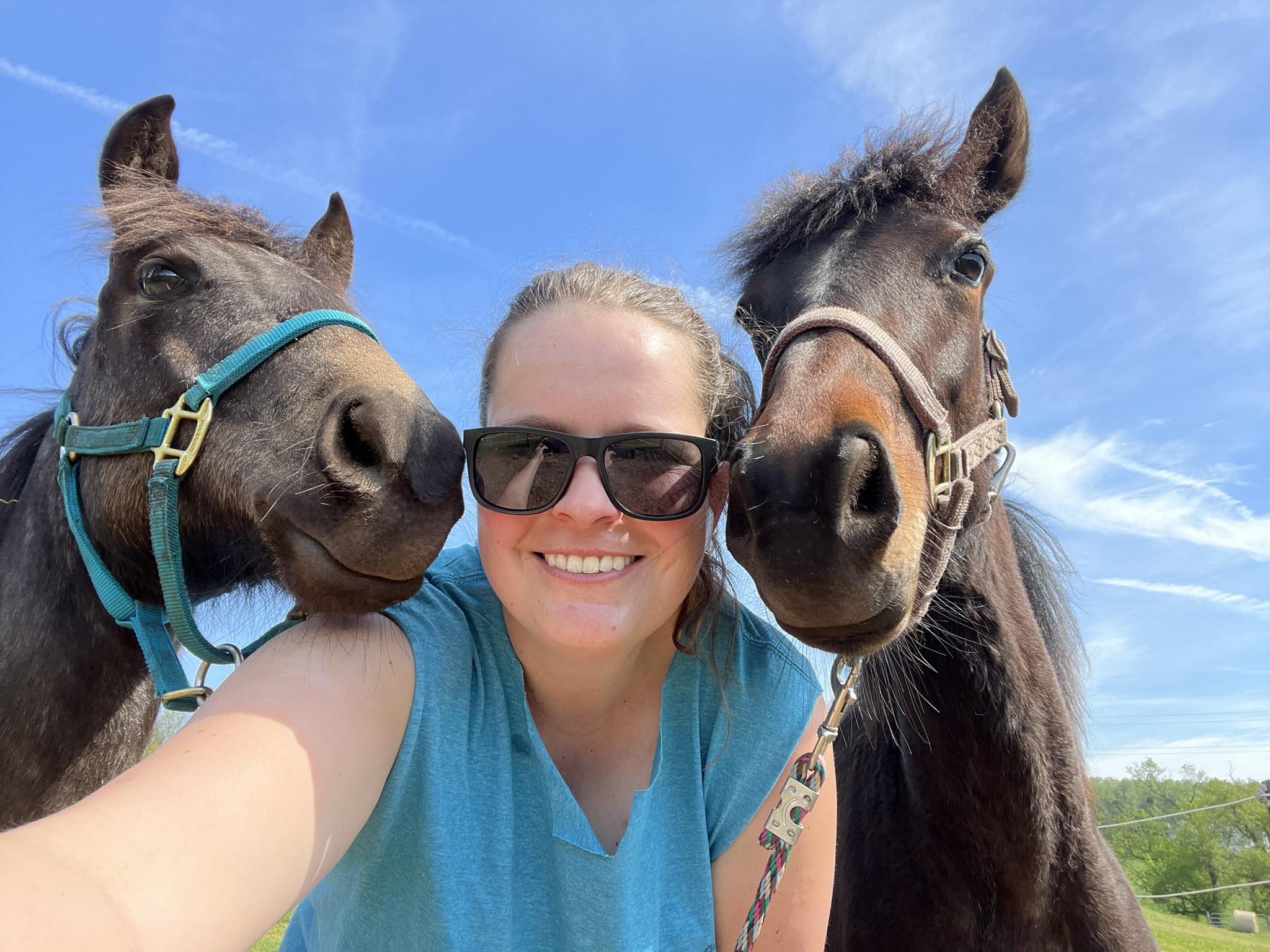 Bonded By Strength Equine Rescue | Lewisberry PA