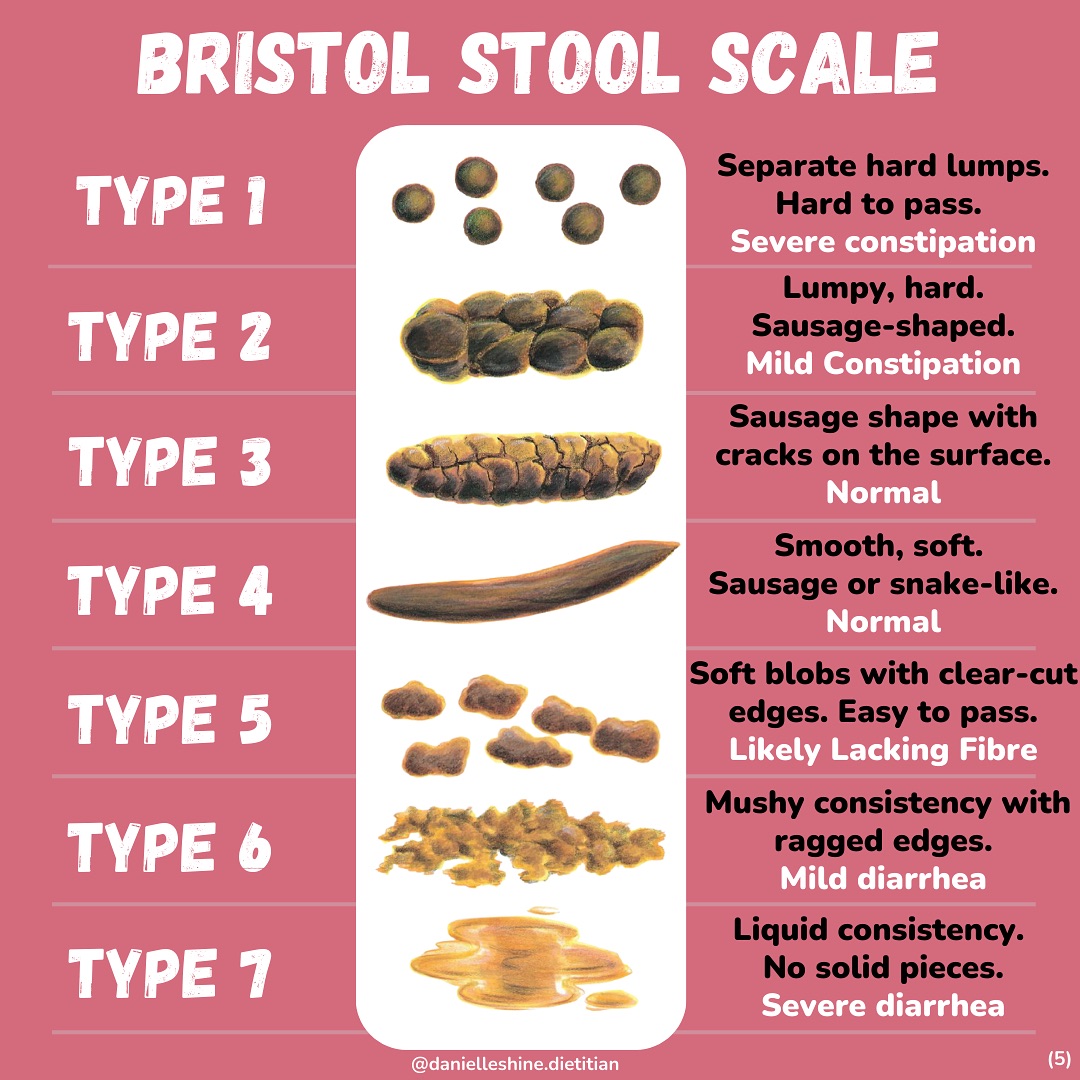 Bristol Scale For Poop Bristol Stool Chart