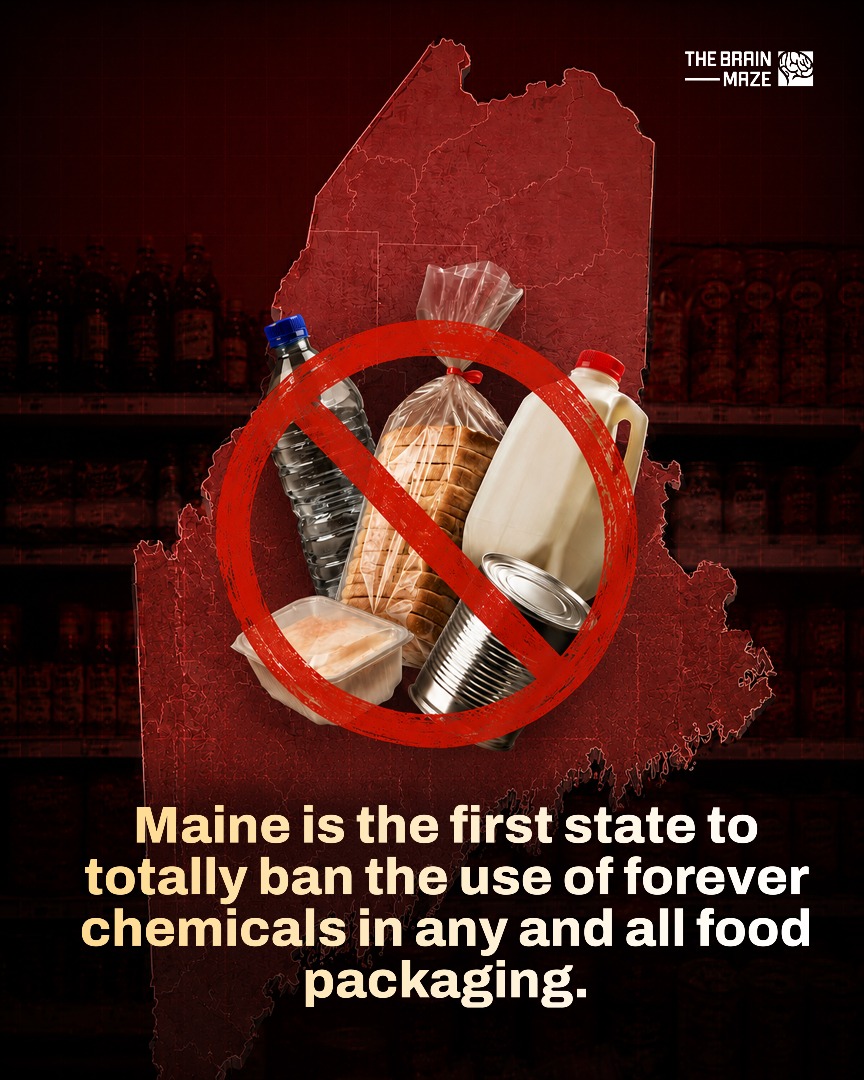 are flavored vapes legal in maine Four cities have banned products YouTube portable vaporizer Nic Level:20mg