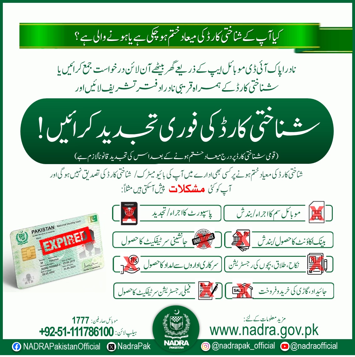SAEED Computers | Phalia
