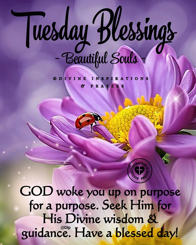 Divine Inspirations And Prayers Facebook – EVMJI