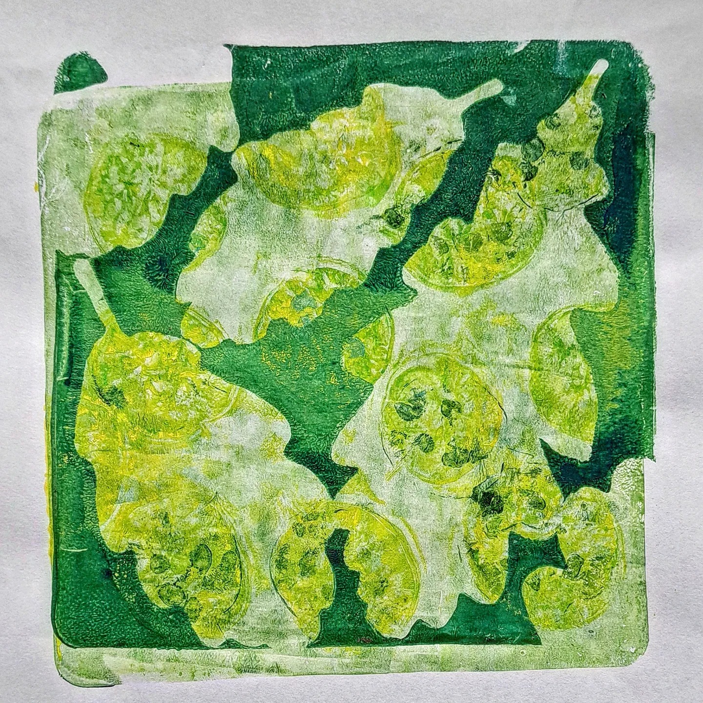 Oak leaves, and... - Ditte Kummer artist books & design | Facebook