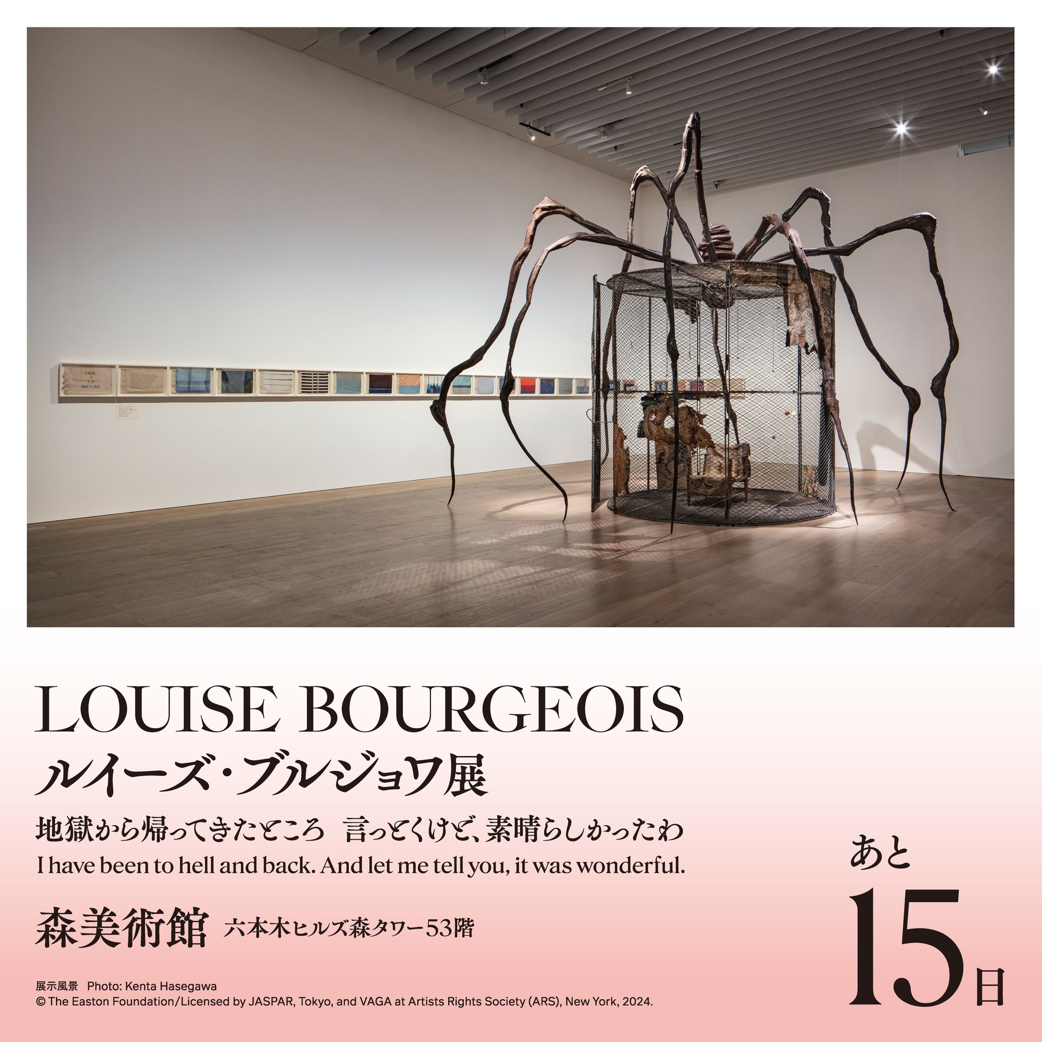 ✓閉幕まであと15日！お見逃しなく！ 「ルイーズ・ブルジョワ展：地獄 