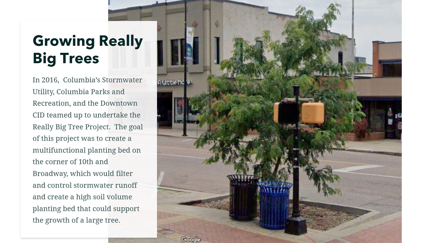 City - 🌳 Plant More Trees for Greener Cities! 🌳 A simple yet powerful ...