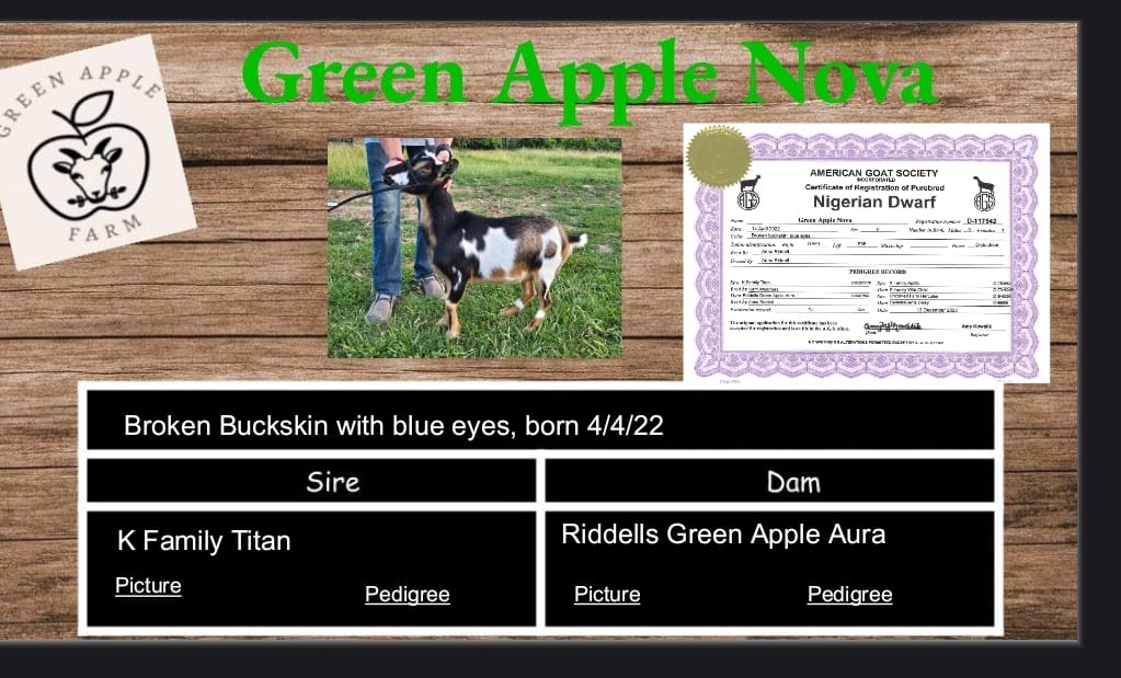 Green Apple Farm