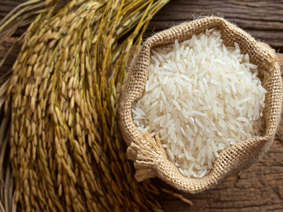 SAFI Grains - Rice Delivery | General Santos City