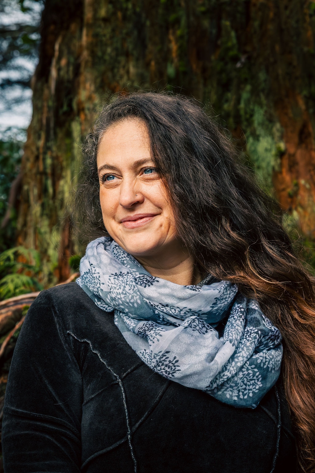 Cyndi Bird Author