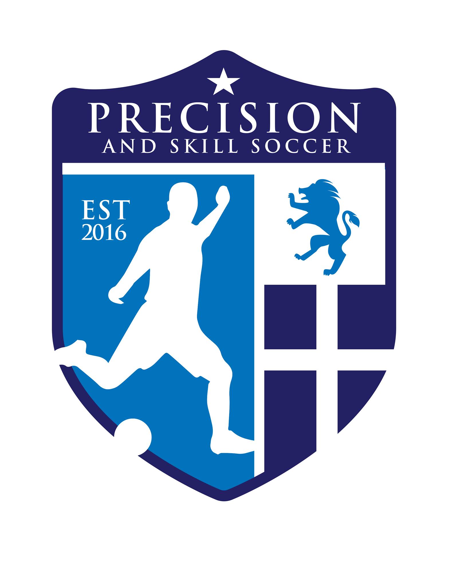 Precision and Skill Soccer