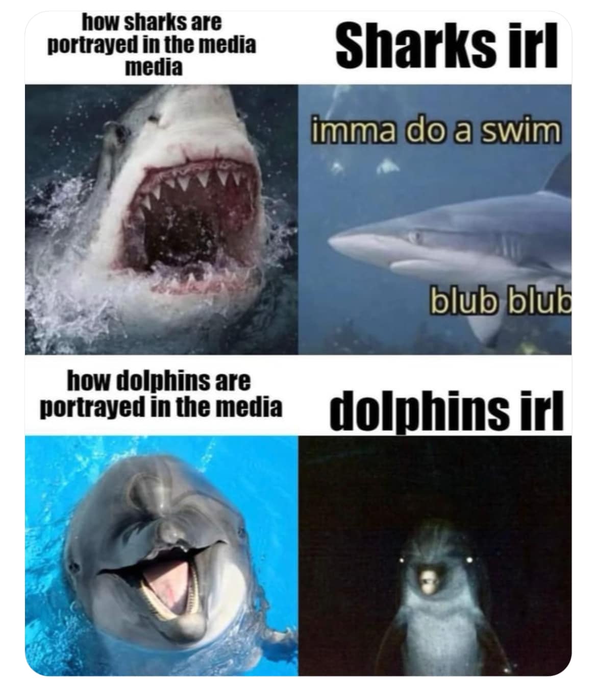 Memes that complete me | Facebook