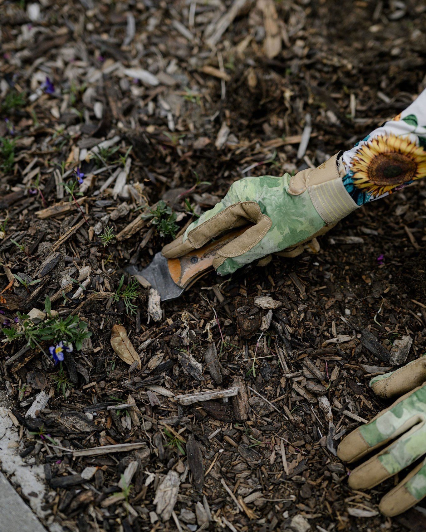 Snuck - The days are stretching longer, the soil is waking up, and we ...