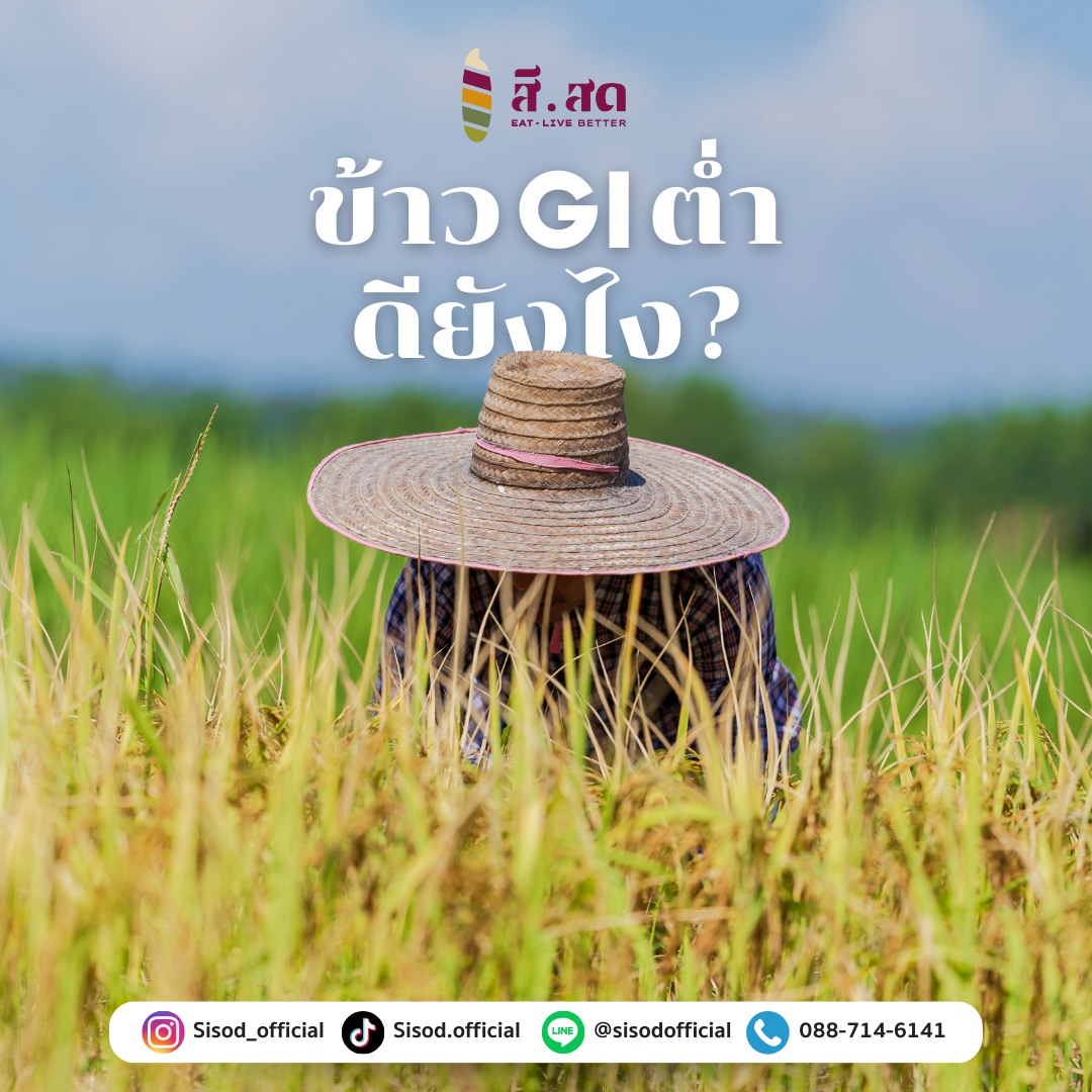 สีสด - SISOD - “ข้าว GI ต่ำ” คืออะไร?... | Facebook