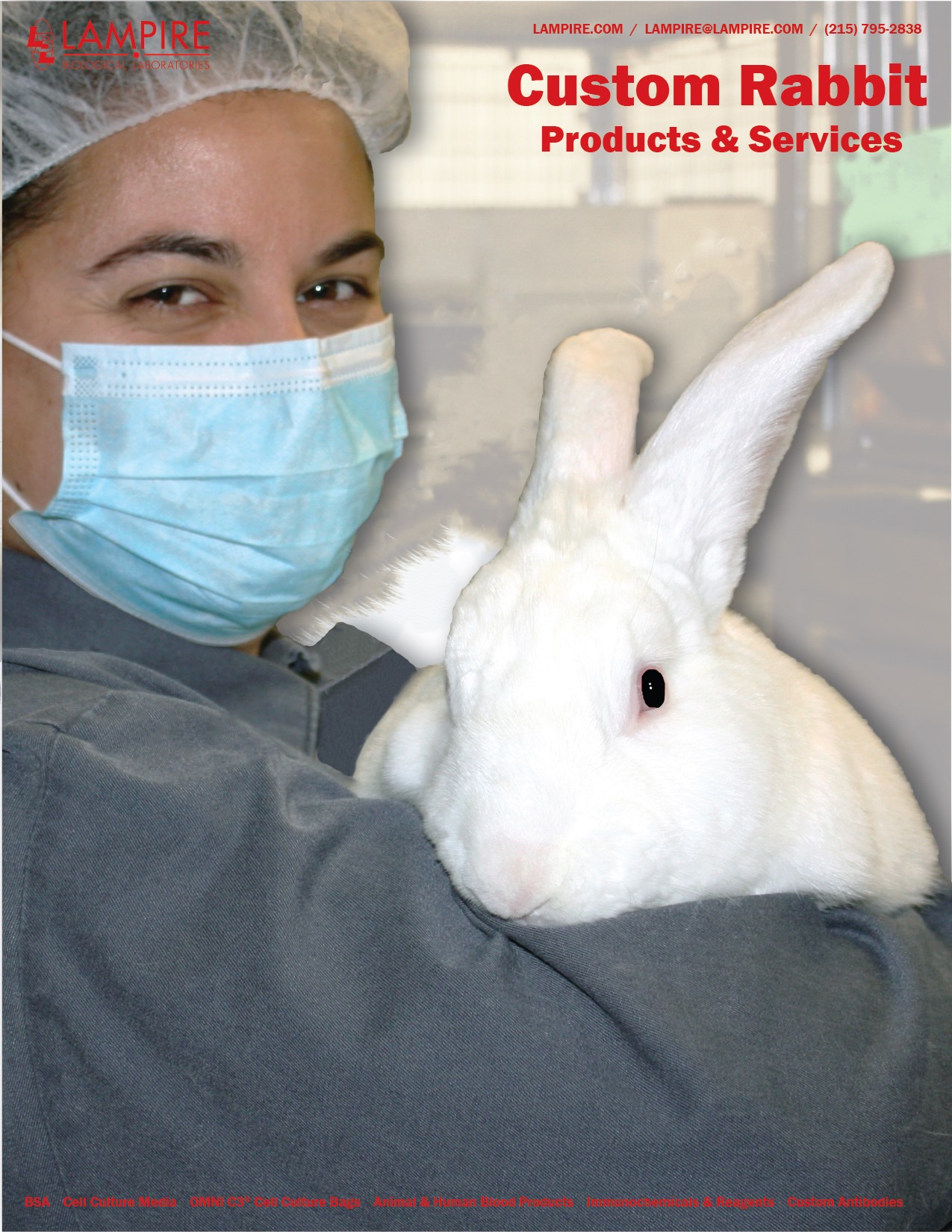 Rabbit IgG Protein A... - Lampire Biological Laboratories