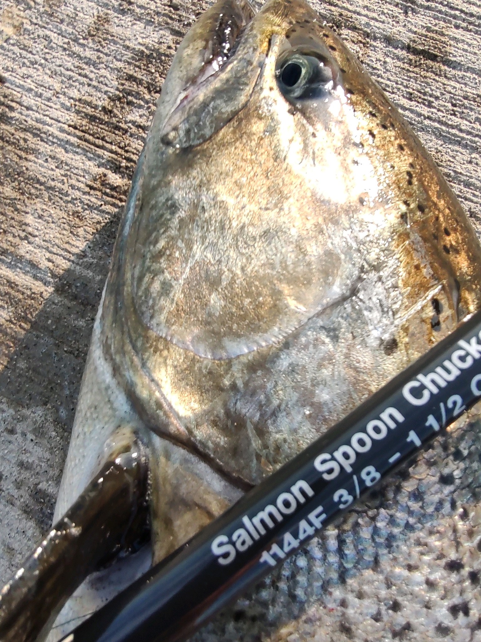 B&B Custom Rods