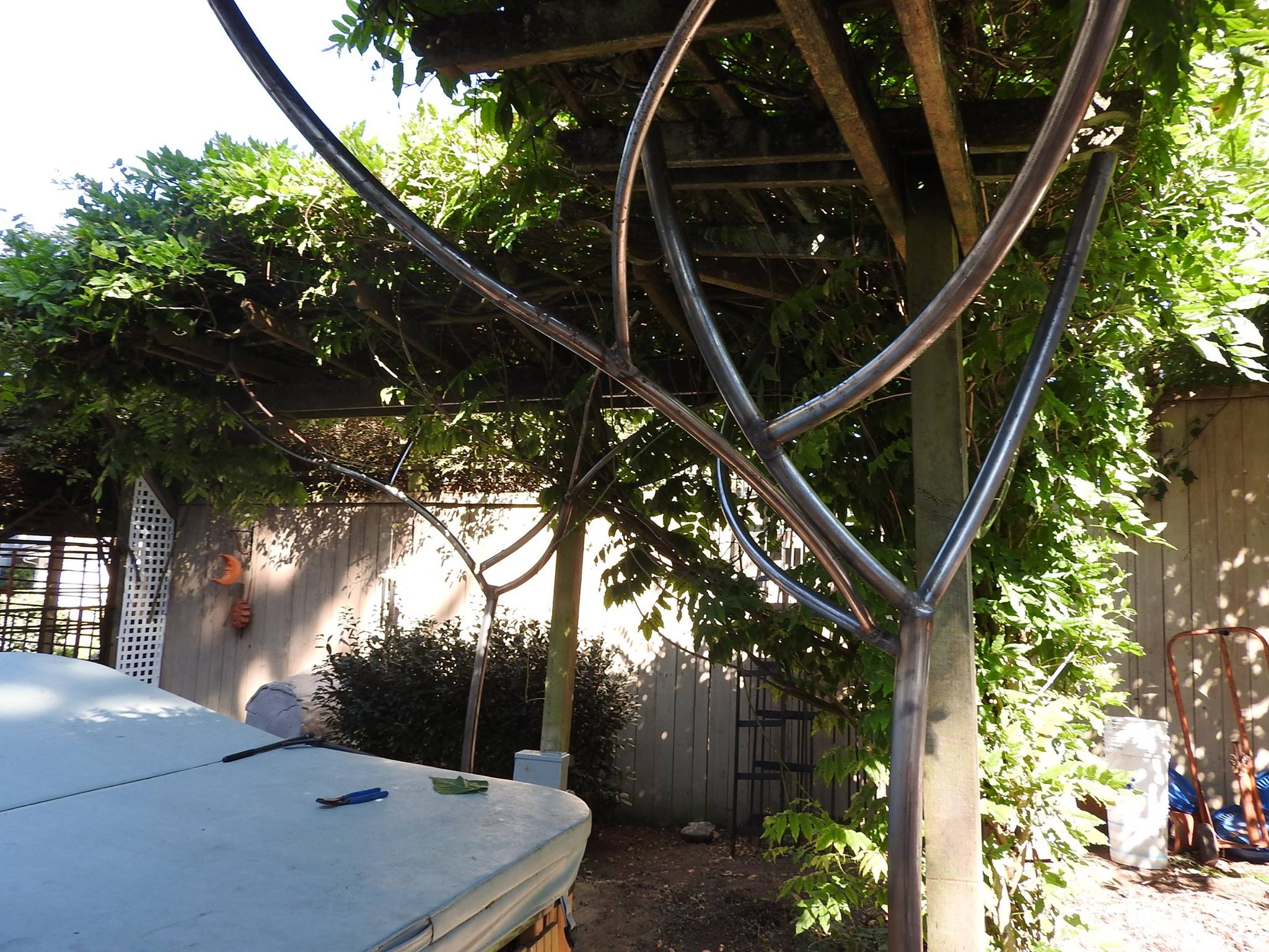 Freeform trellis to replace rooted... - Poverty bay bumper