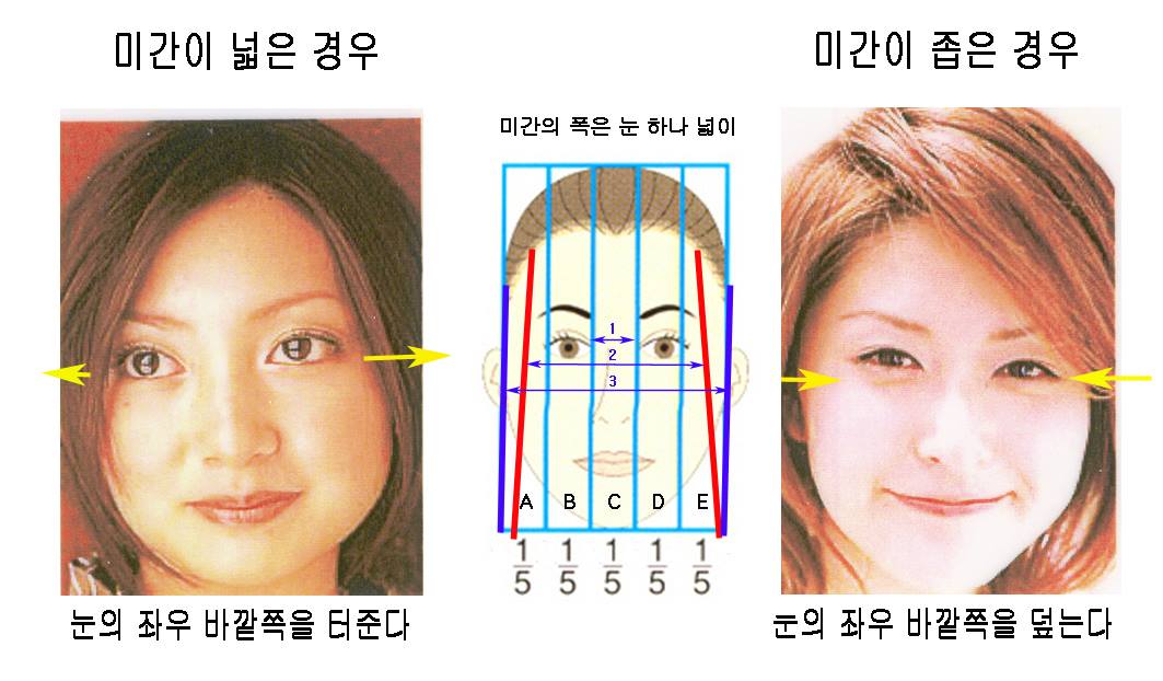 뷰티위더스 - 눈과 눈 사이의 거리(미간)가 주는 인상 그림에서 보듯이 왼쪽 눈과 오른쪽 눈 사이의...