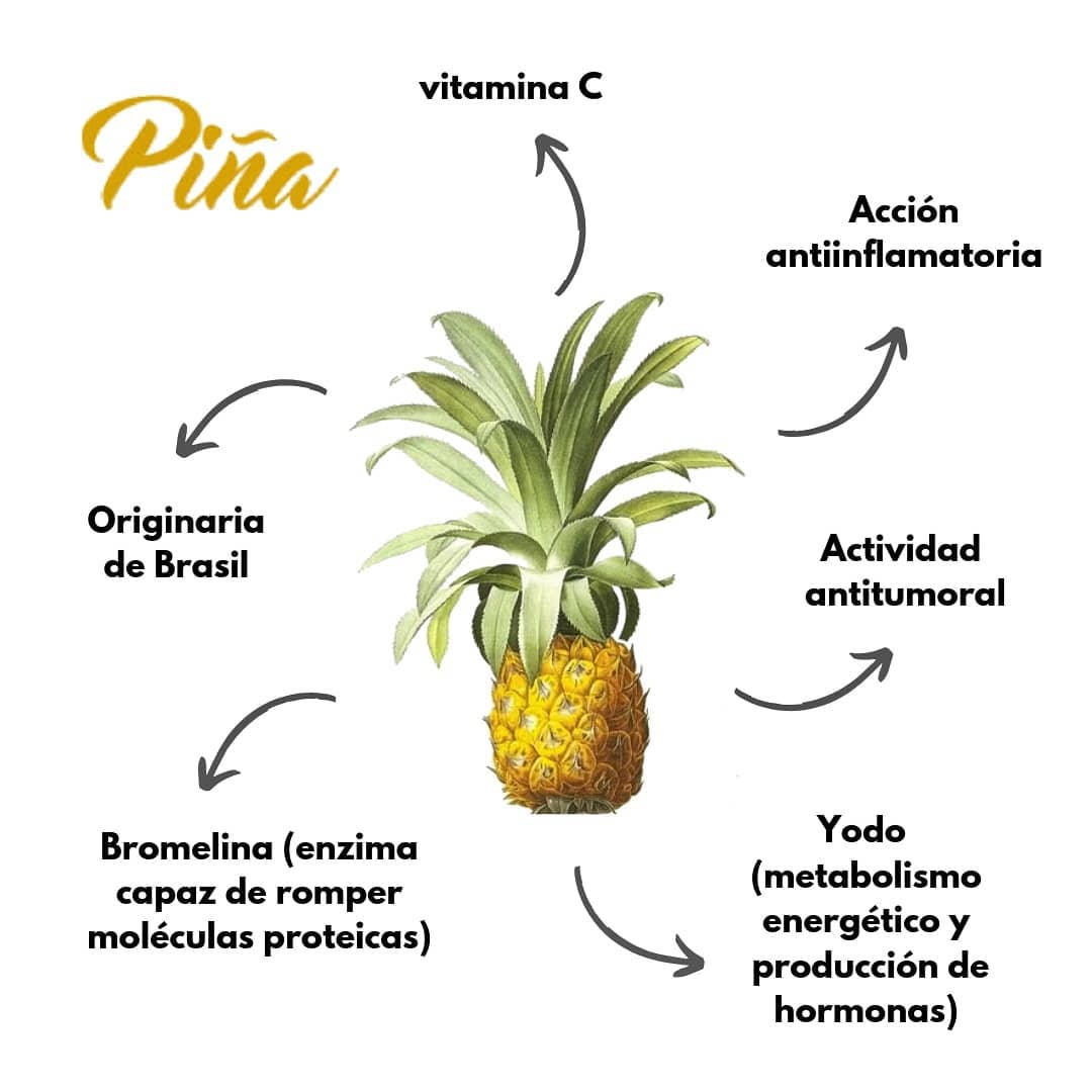 Nutrición - La piña 🍍 . Les dejo aquí una infografía que hice para ...