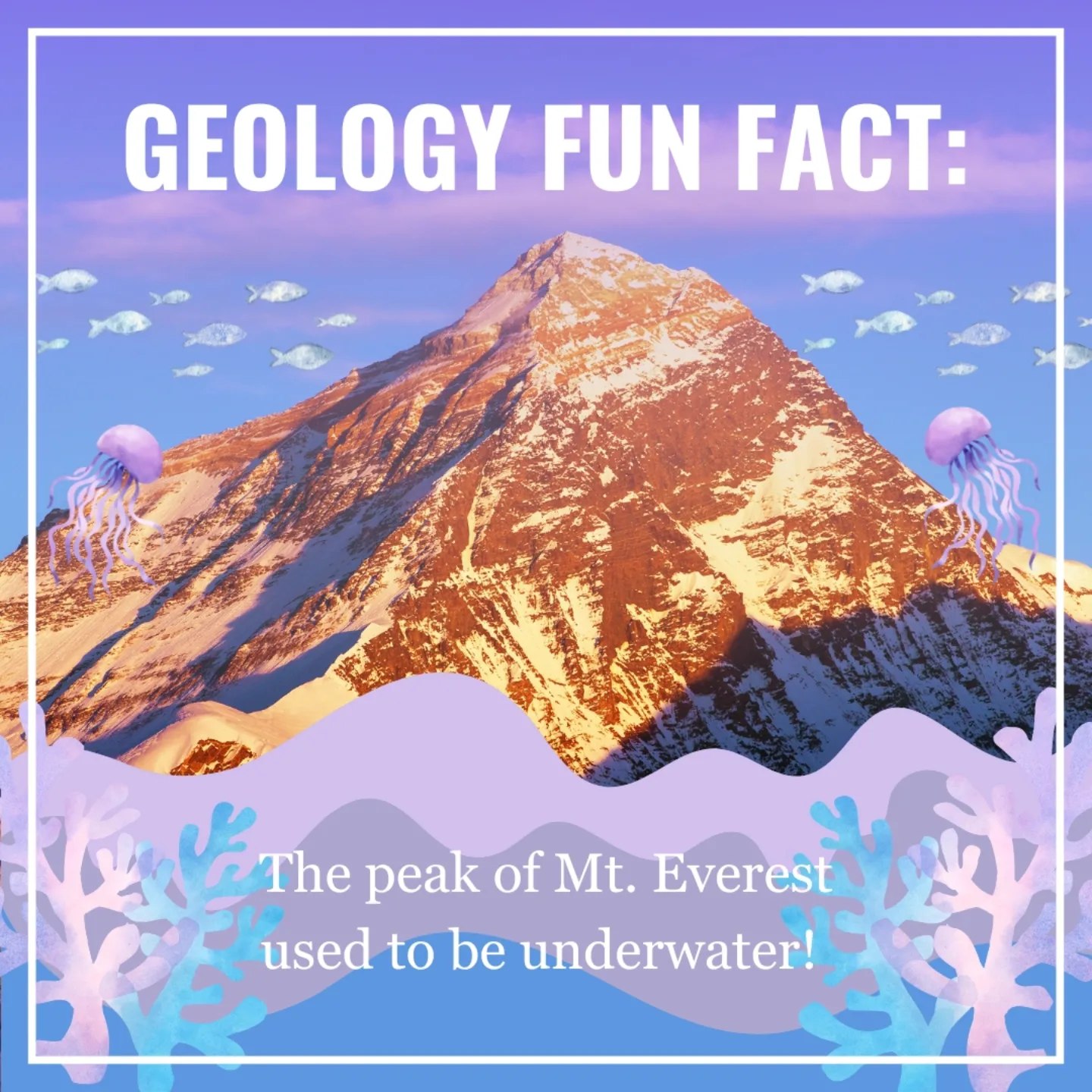 Department - Did you know? The top of Mount Everest was once a coral ...