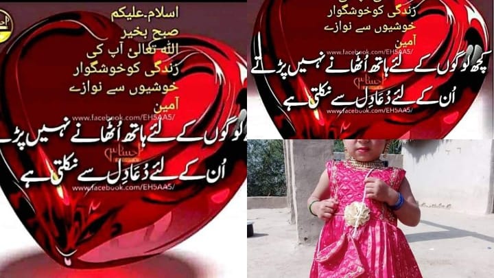 Gul Shar Rind