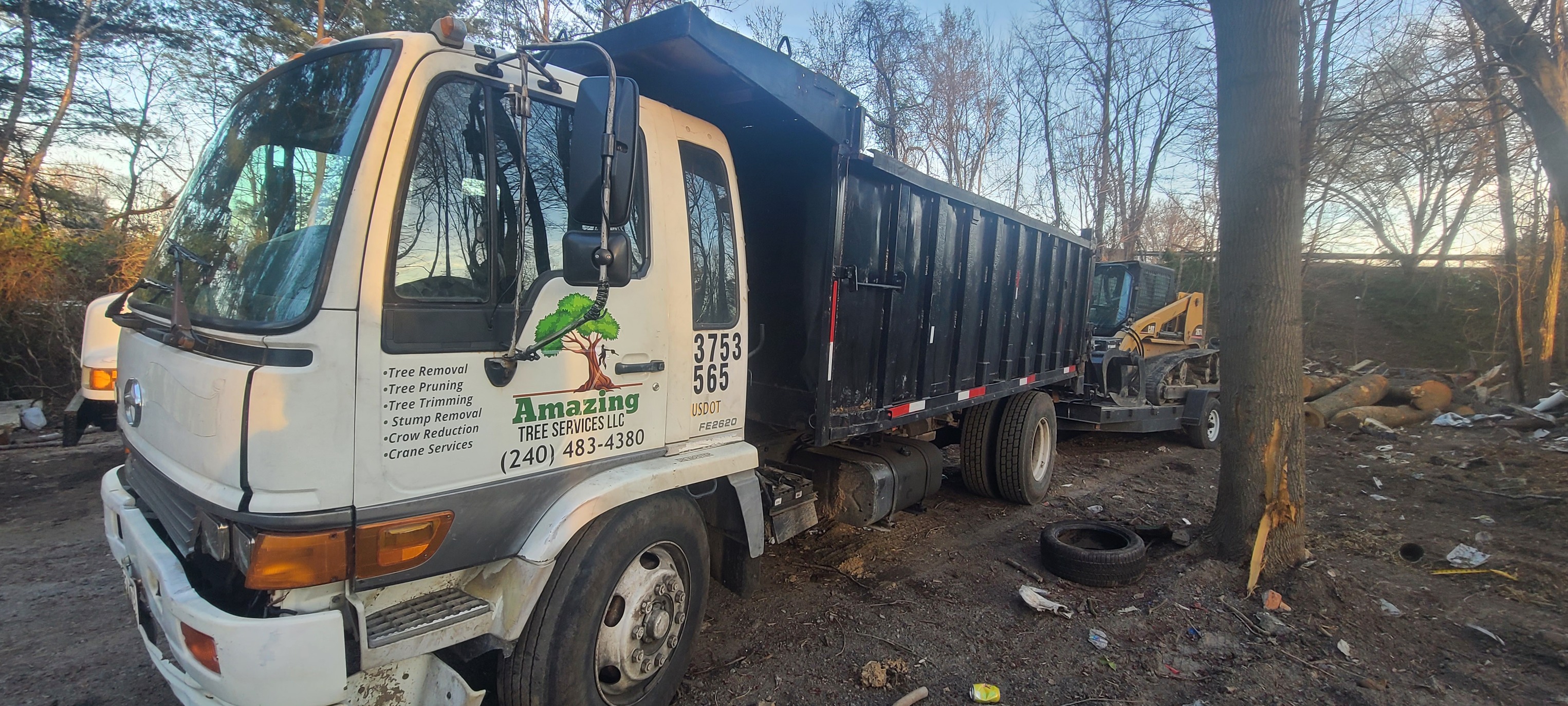 🌳🌿 Let’s Take Care of Your Trees Together! 🌿🌳 Do your trees need some ...