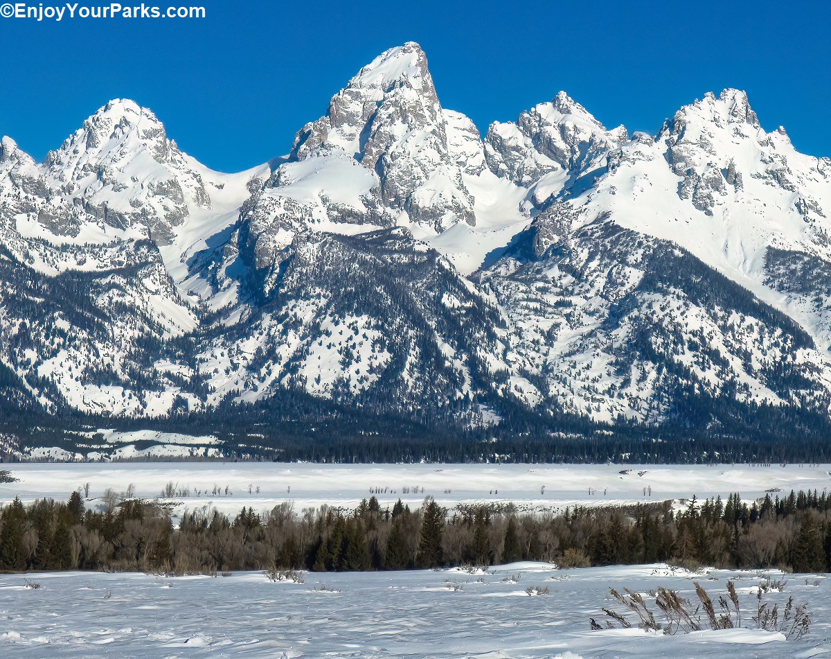 WINTER IN GRAND TETON N.P. We snapped this shot on a crystal clear
