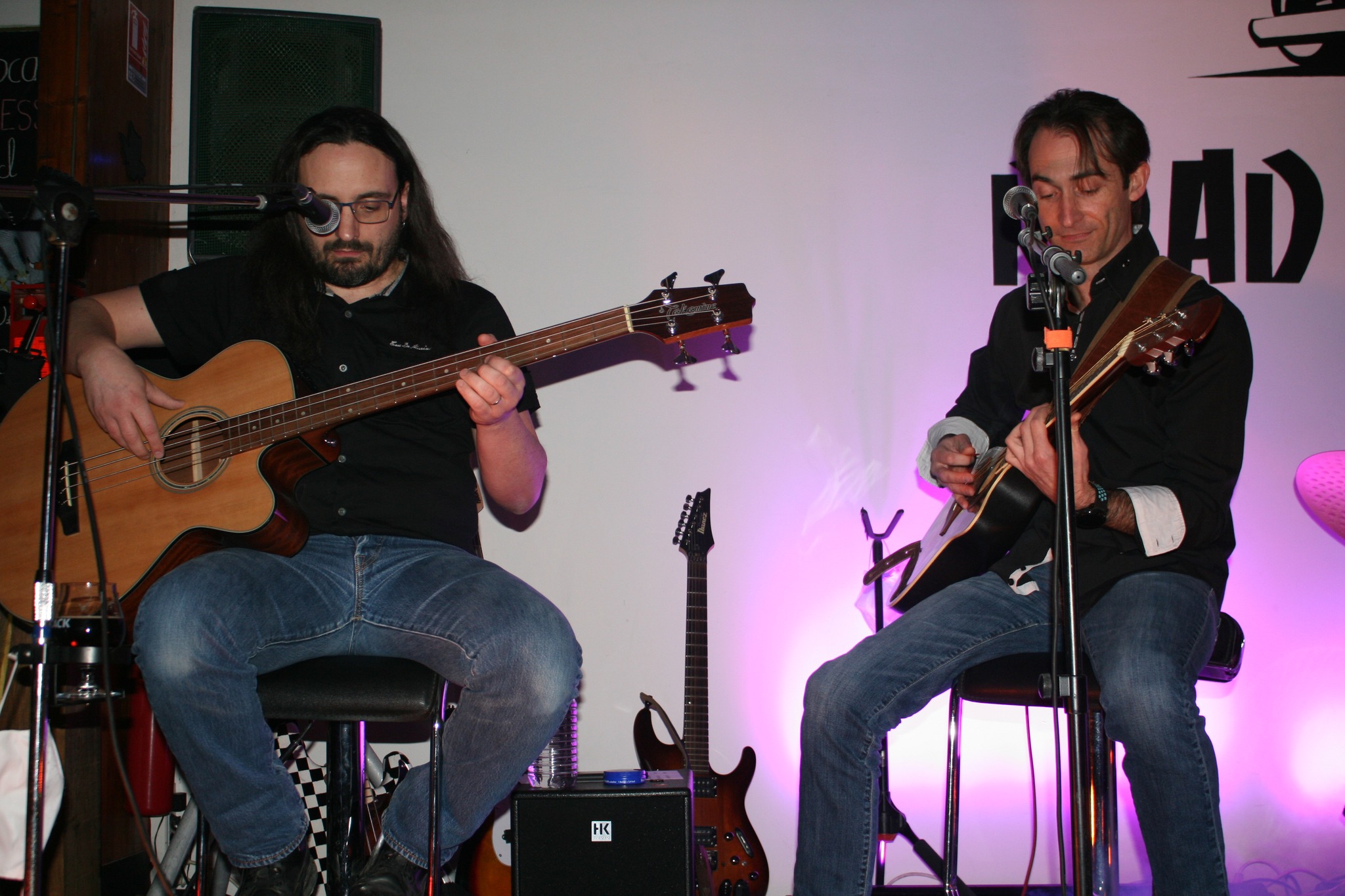 Acoustic WILD