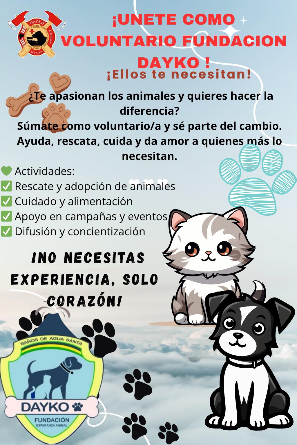 Dayko Fundation Network... - Dayko Fundation Network Ecuador