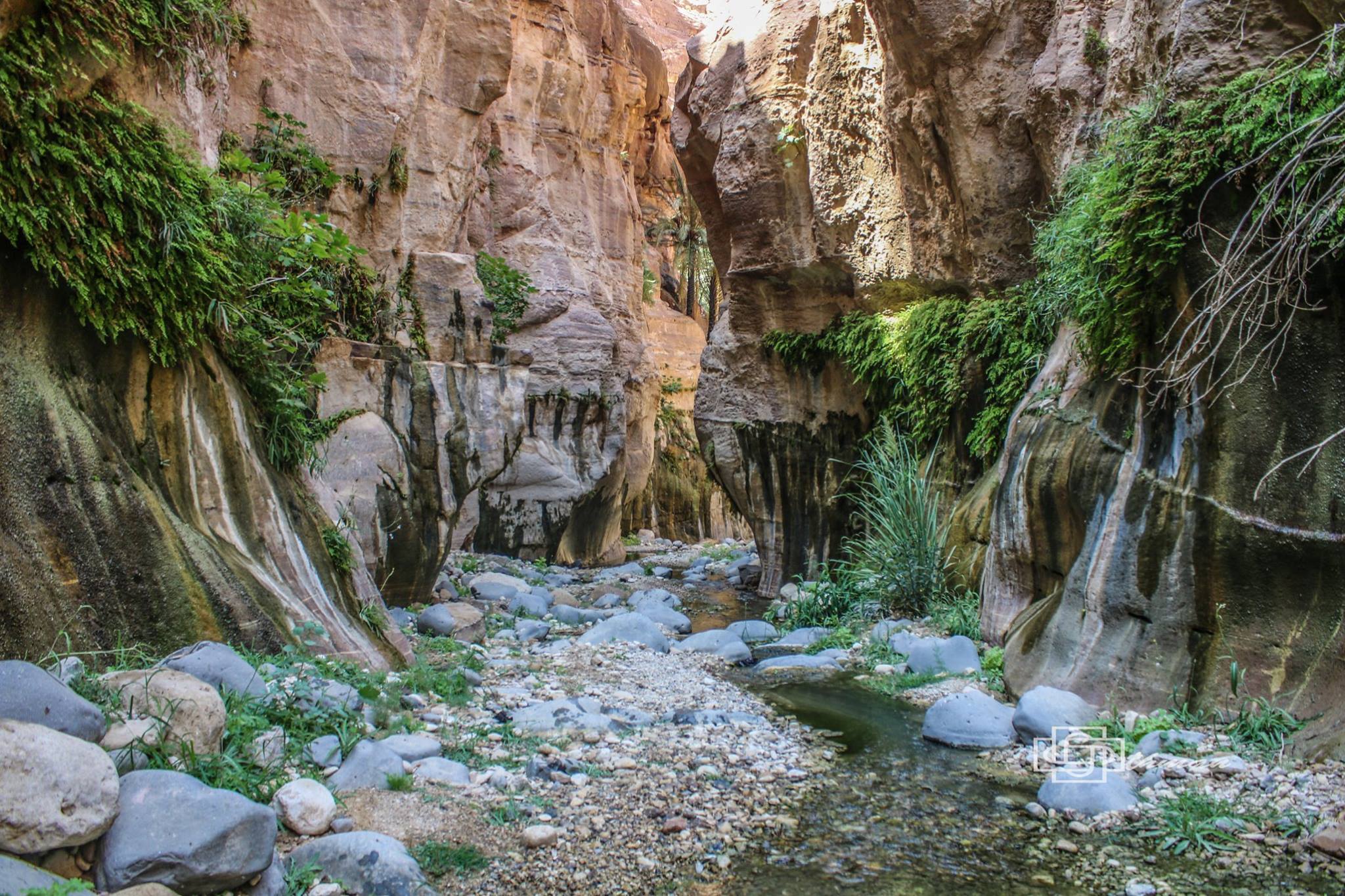وادي غـويــر ( وادي النخيل الملاقي وادي فنان)