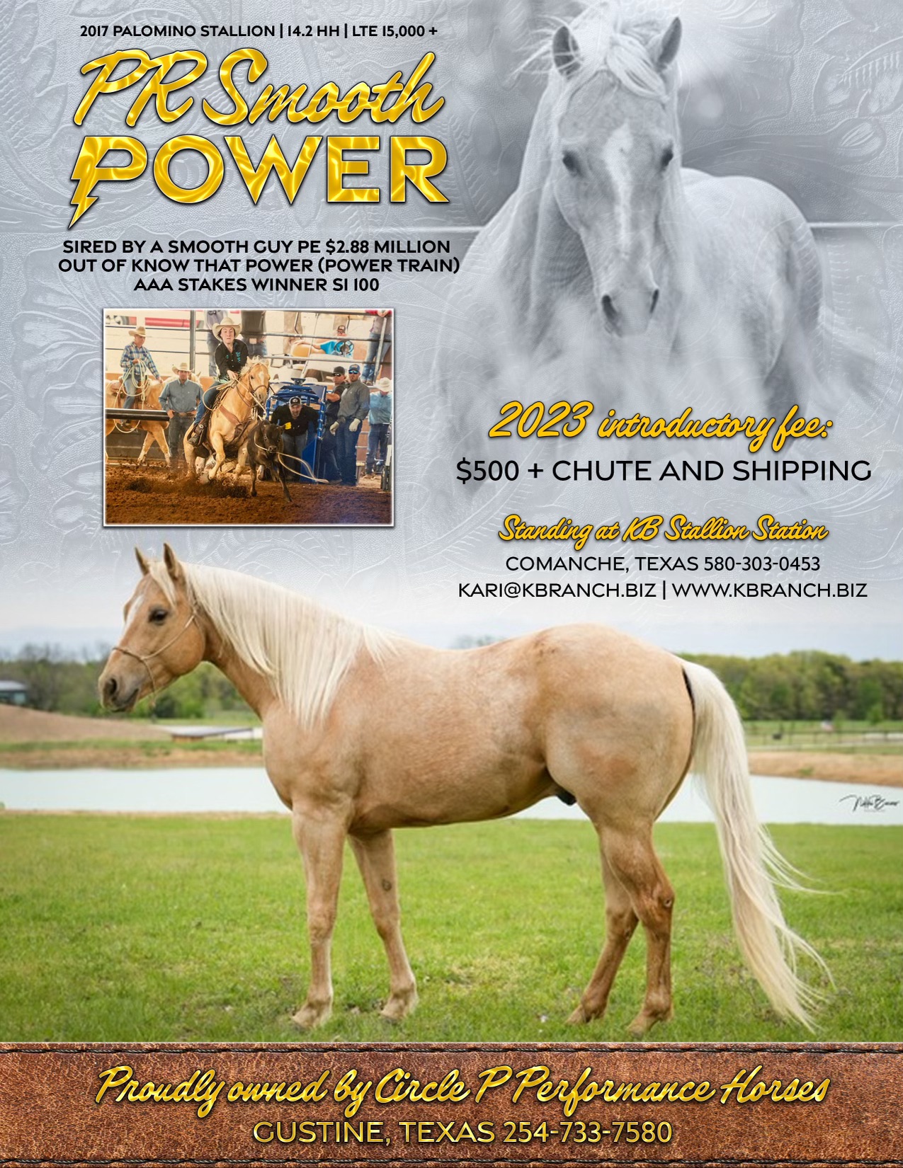 KB Ranch & Stallion Station... - KB Ranch & Stallion Station