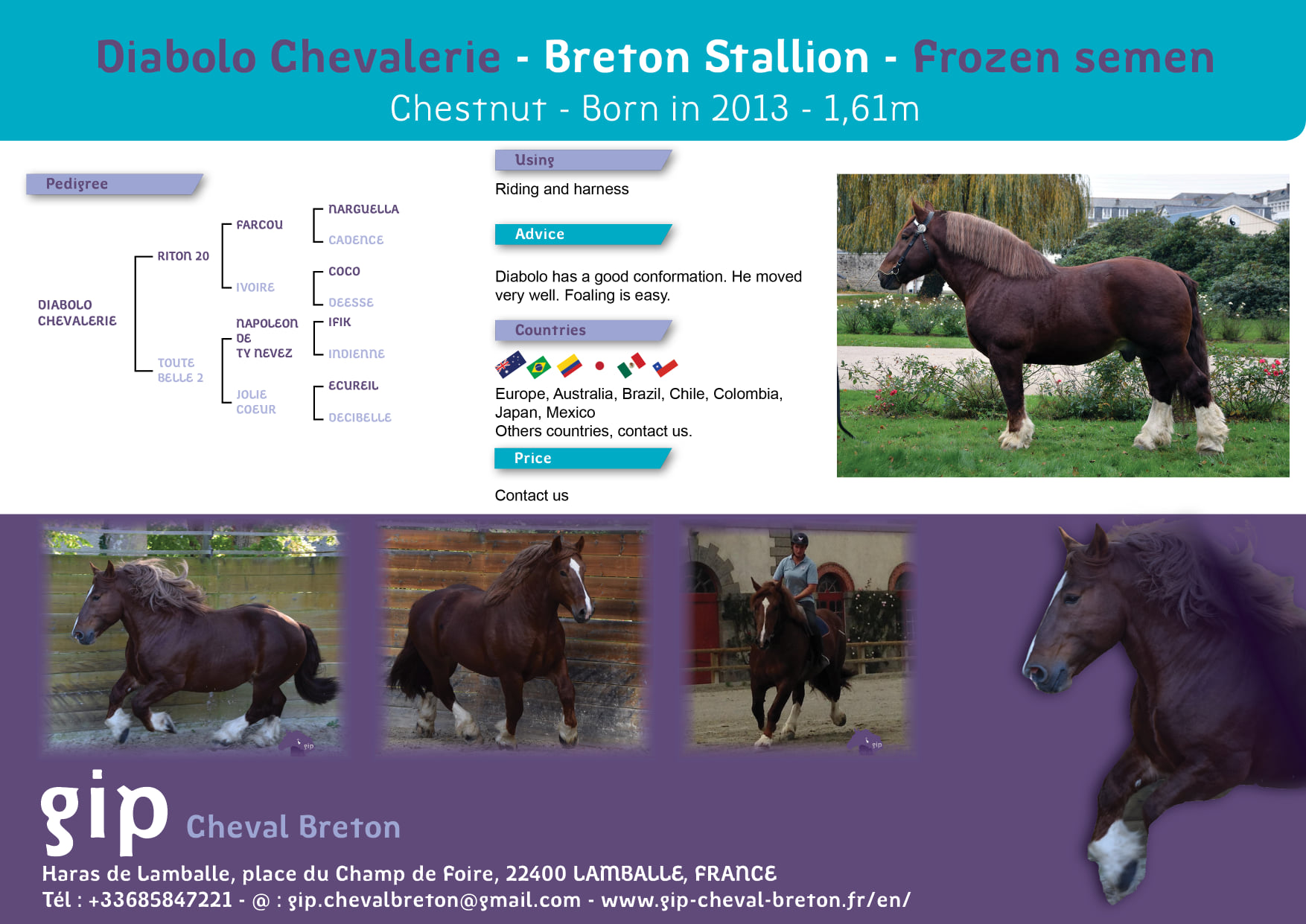 Groupement - Semence congelée d'étalons bretons. Sont disponibles pour ...