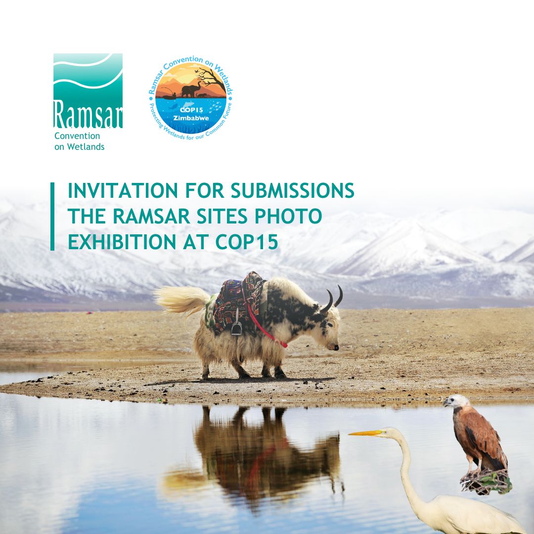 The Convention on Wetlands - 📸 Showcase the beauty of wetlands at # ...