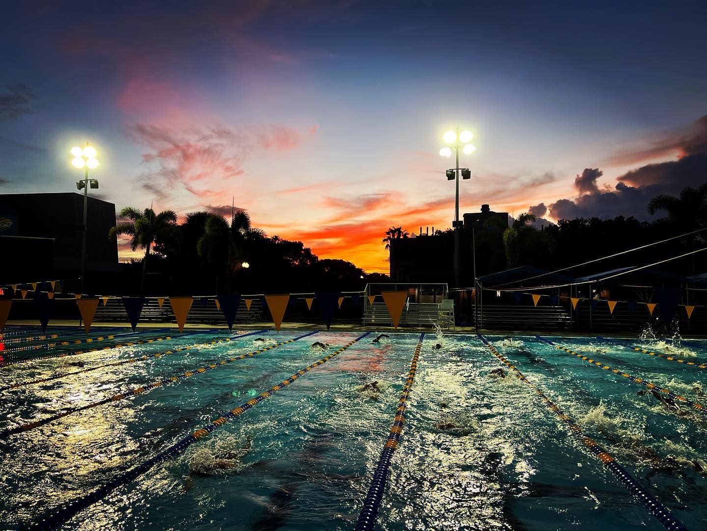 Indian River State College - Swimming and Diving | Fort Pierce FL