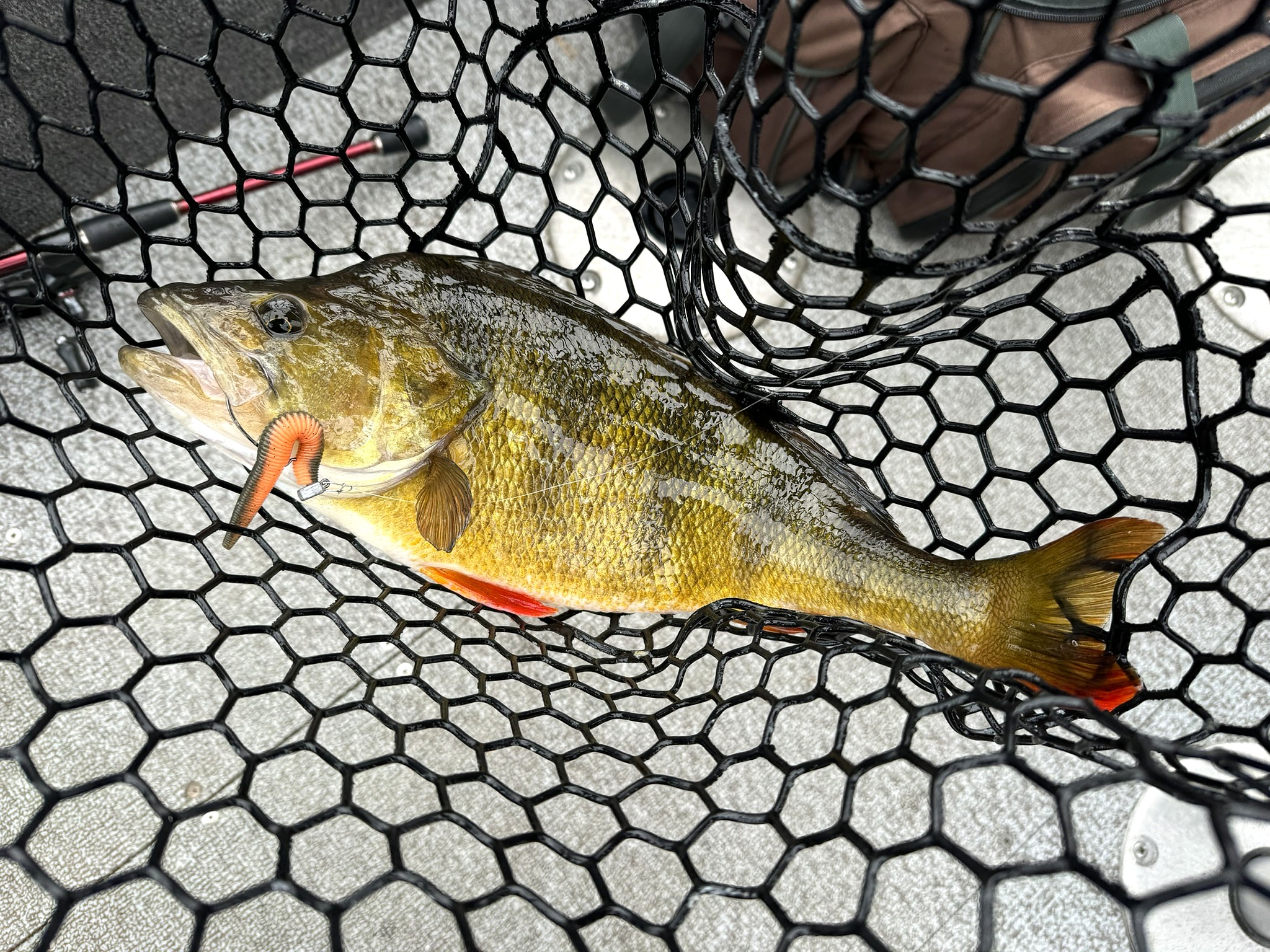 best type of fish net for not getting hooks stuck Promar Protecnet Trout is hook KastKing Folding Landing Net With