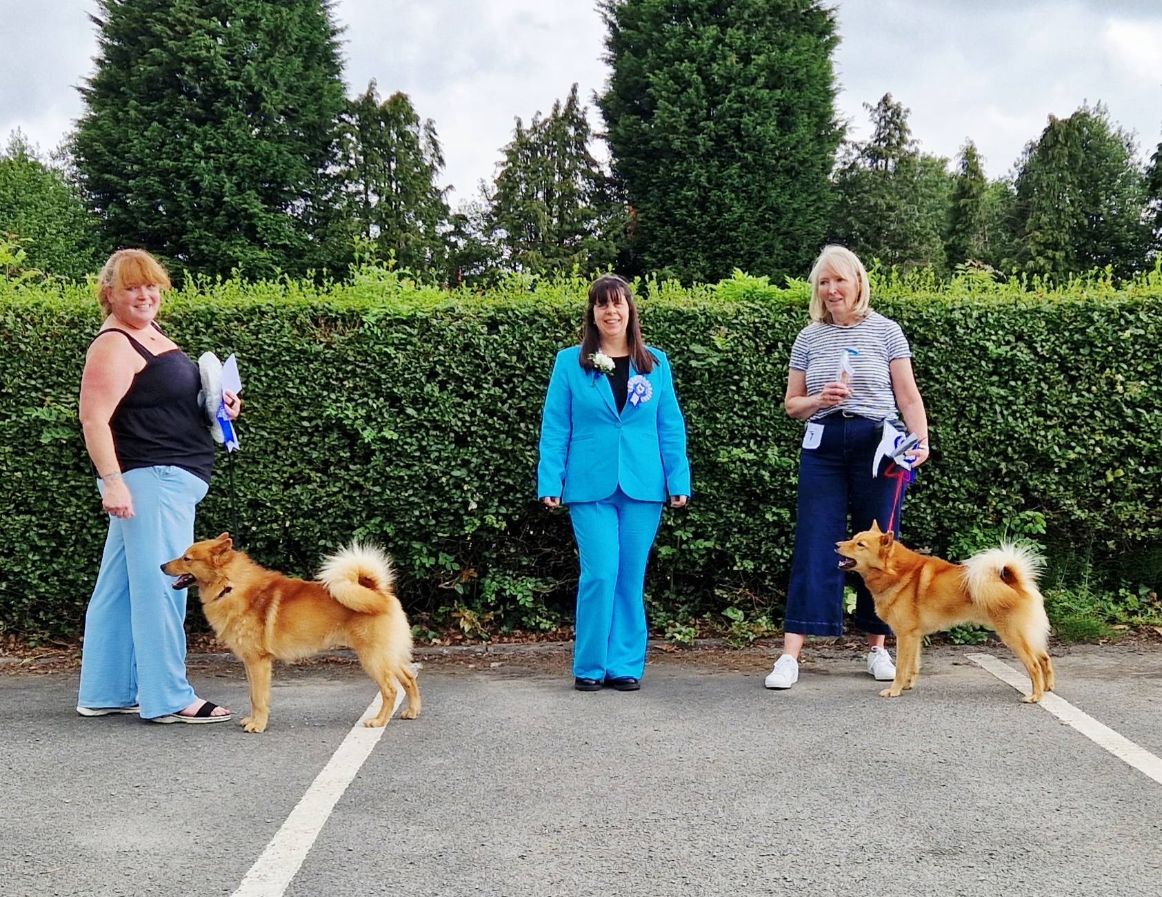 Finnish Spitz Club UK - Time to awaken from dreams of dog events and to ...