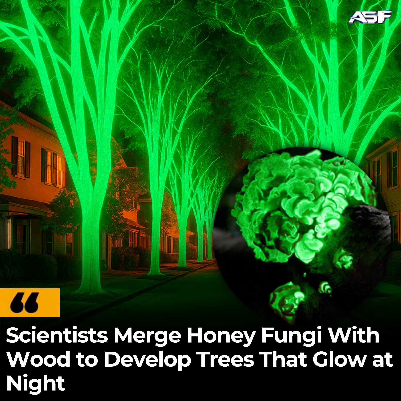 Amazing - ETH Zurich scientists engineered biodegradable glowing wood ...