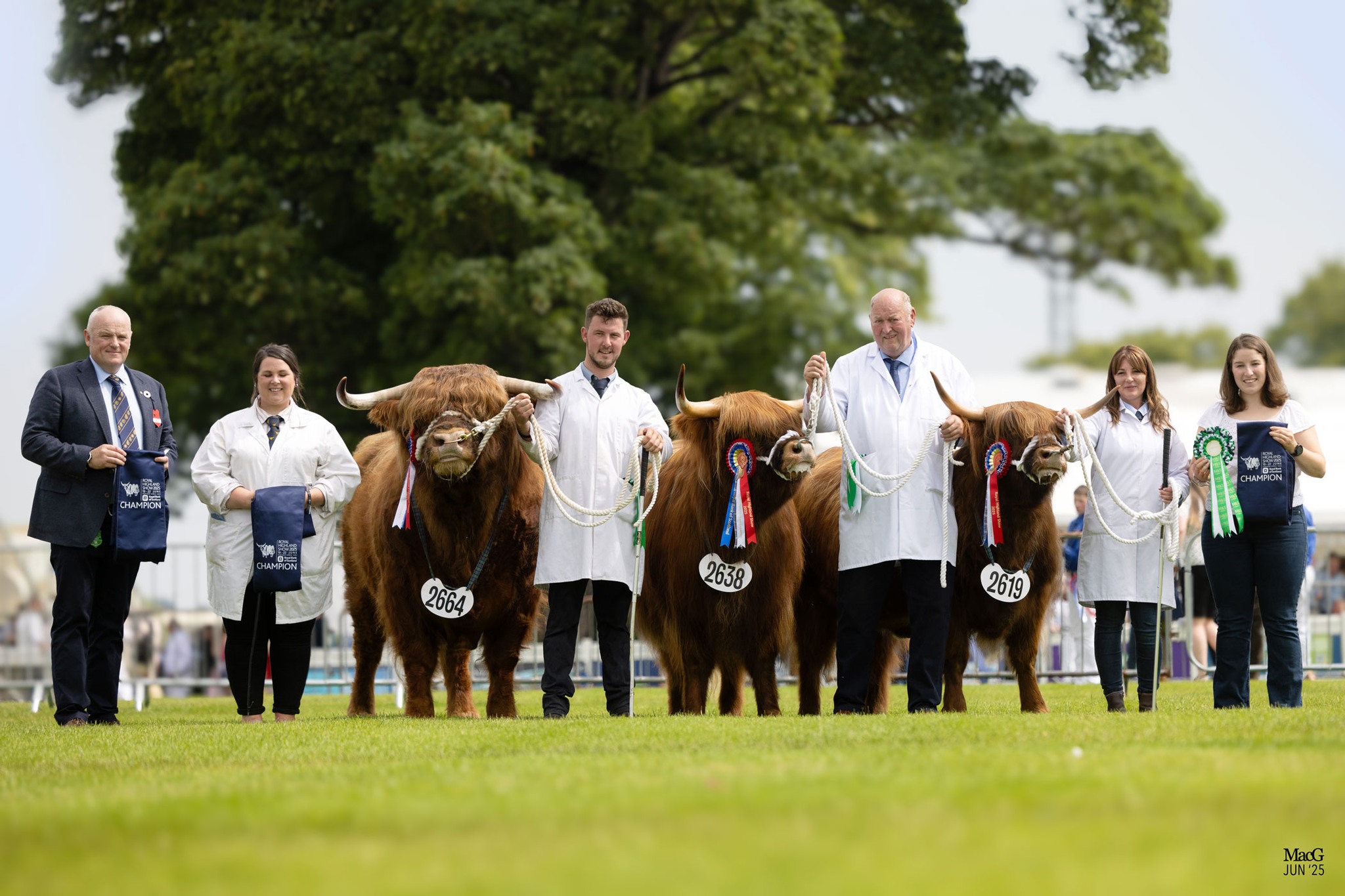 Highland - 🌟 Royal Highland Show 2025 🌟 The Marks & Spencer Native ...