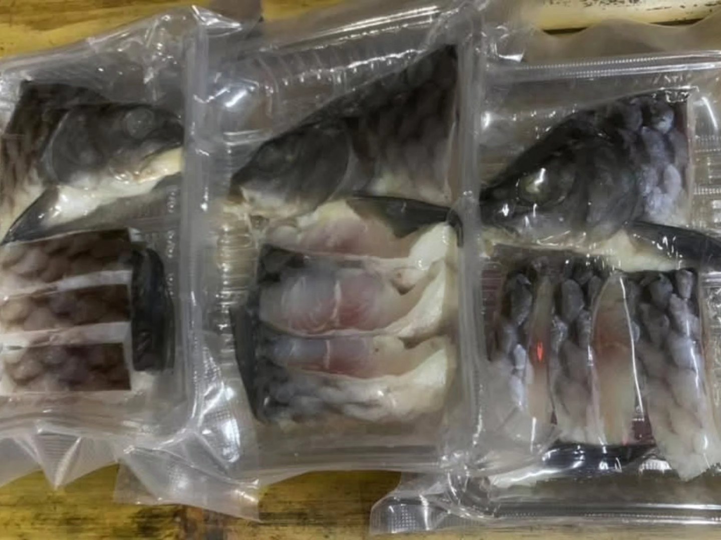 Empurau Sarawak Empurau Fish Tor Tambroides by Puri Johan Agro | Serian