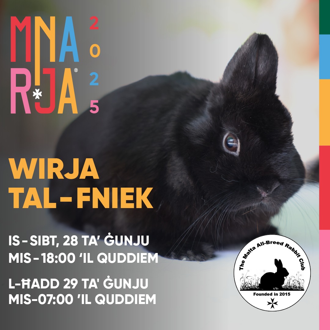 Our Club Ambassador... - The Malta All-Breed Rabbit Club | Facebook