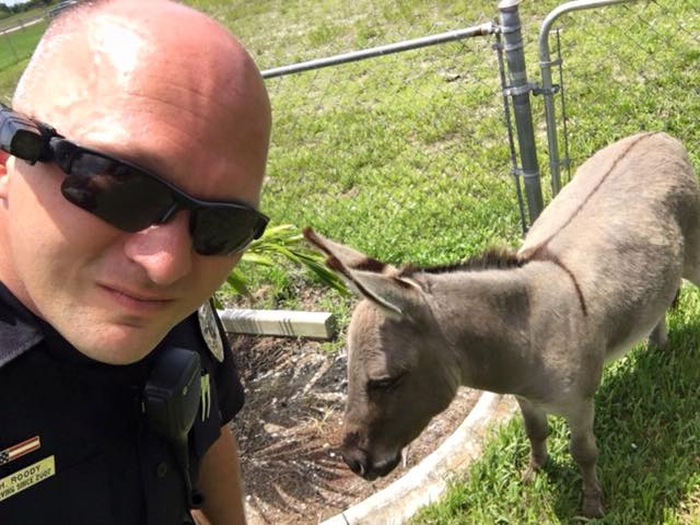 Cape - Officer Heath Roody captured this escapee this morning who ...