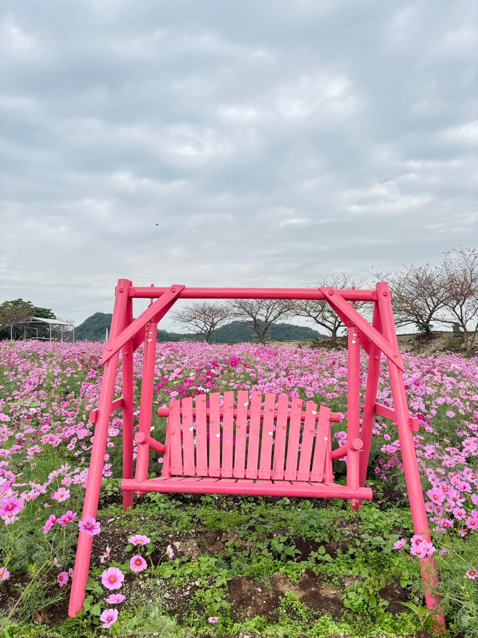 観光 農園 花 ひろば
