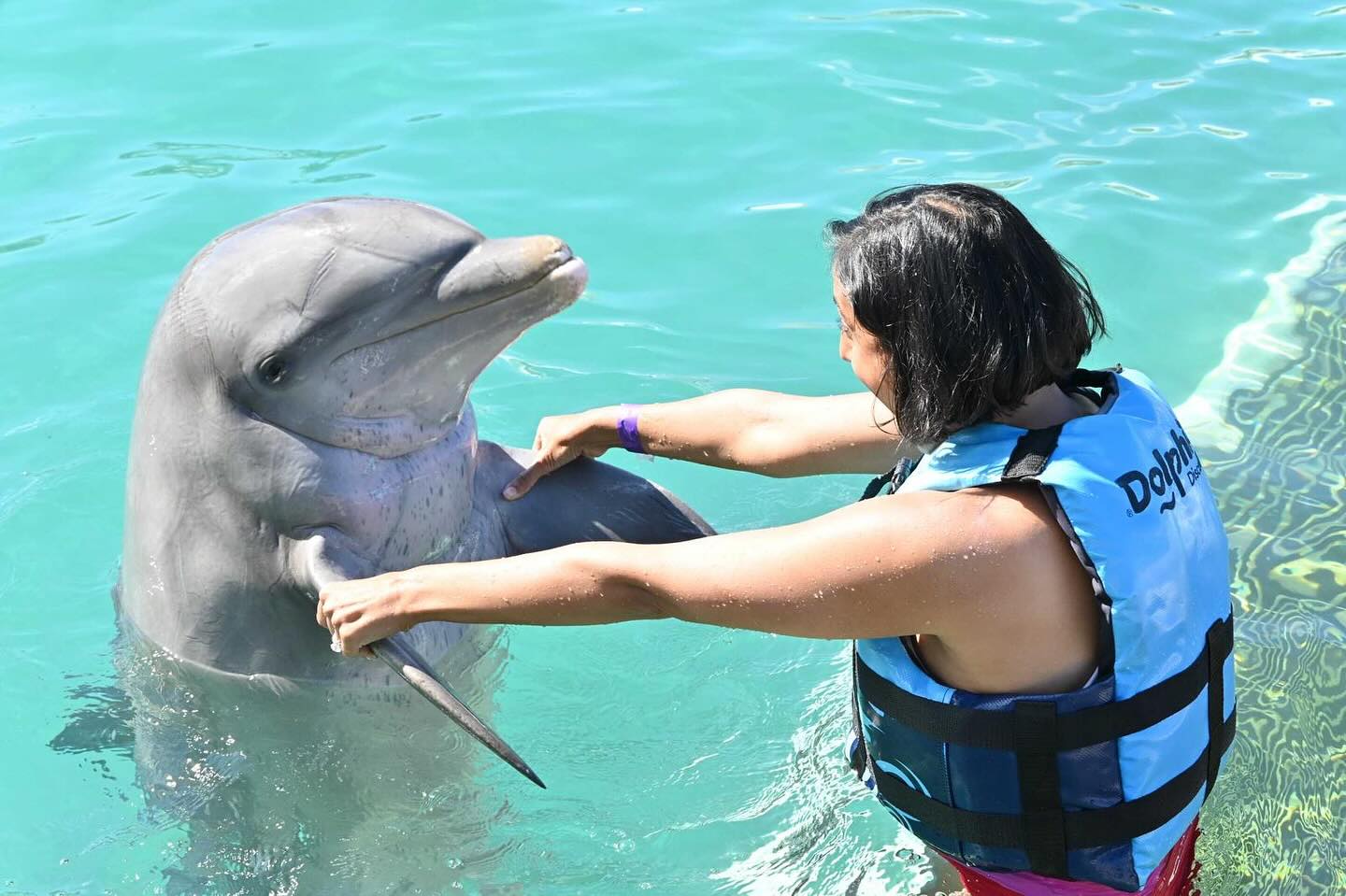 Erica - “Mommy, will the dolphin bite me?” Rohan stood on the dock ...