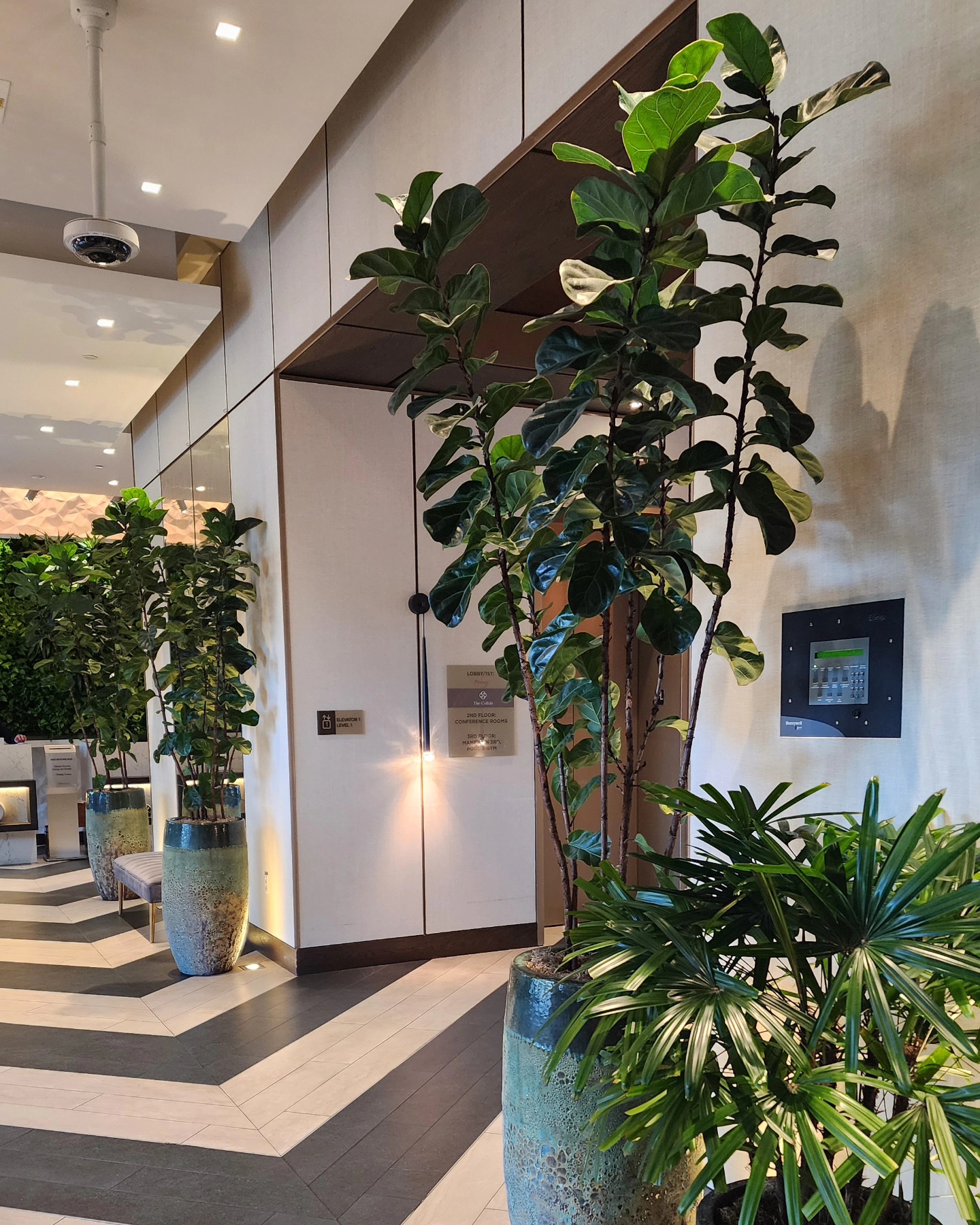 FosterPlants - Biophilic Design is based on the principle that humans ...
