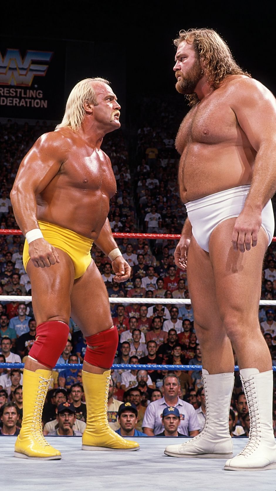 Hulk Hogan vs masked Big John Studd match in Japan - what year?