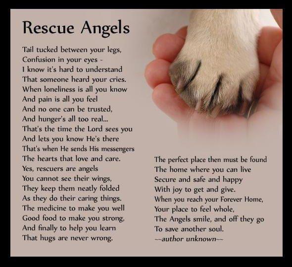 Missions of Mercy Rescue