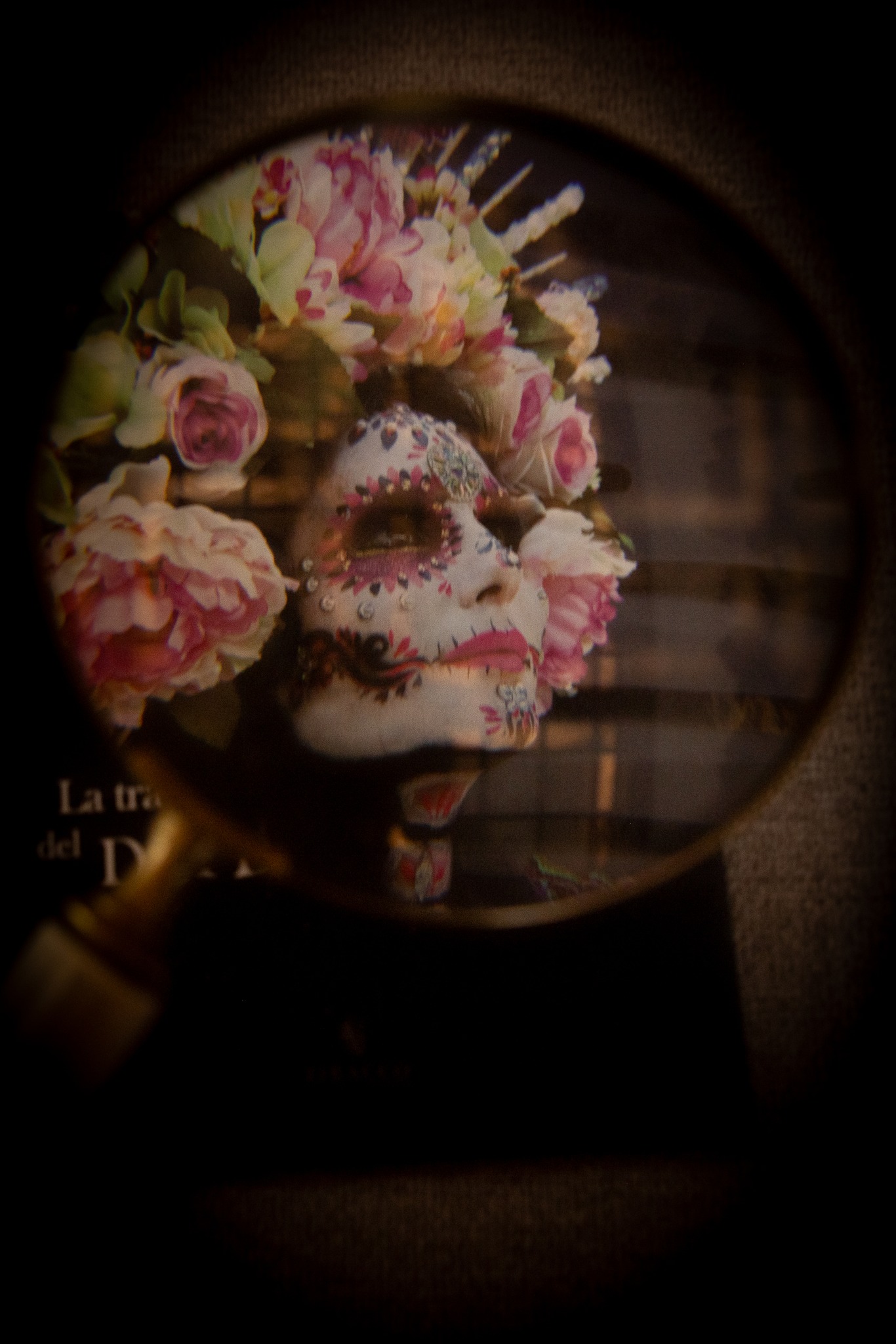 עינת להב סטודיו בוטיק לצילום - Einat Lahav Photography