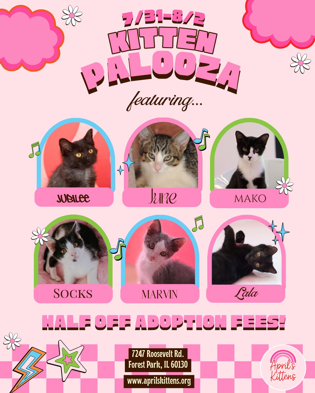 April's Kittens | Forest Park IL