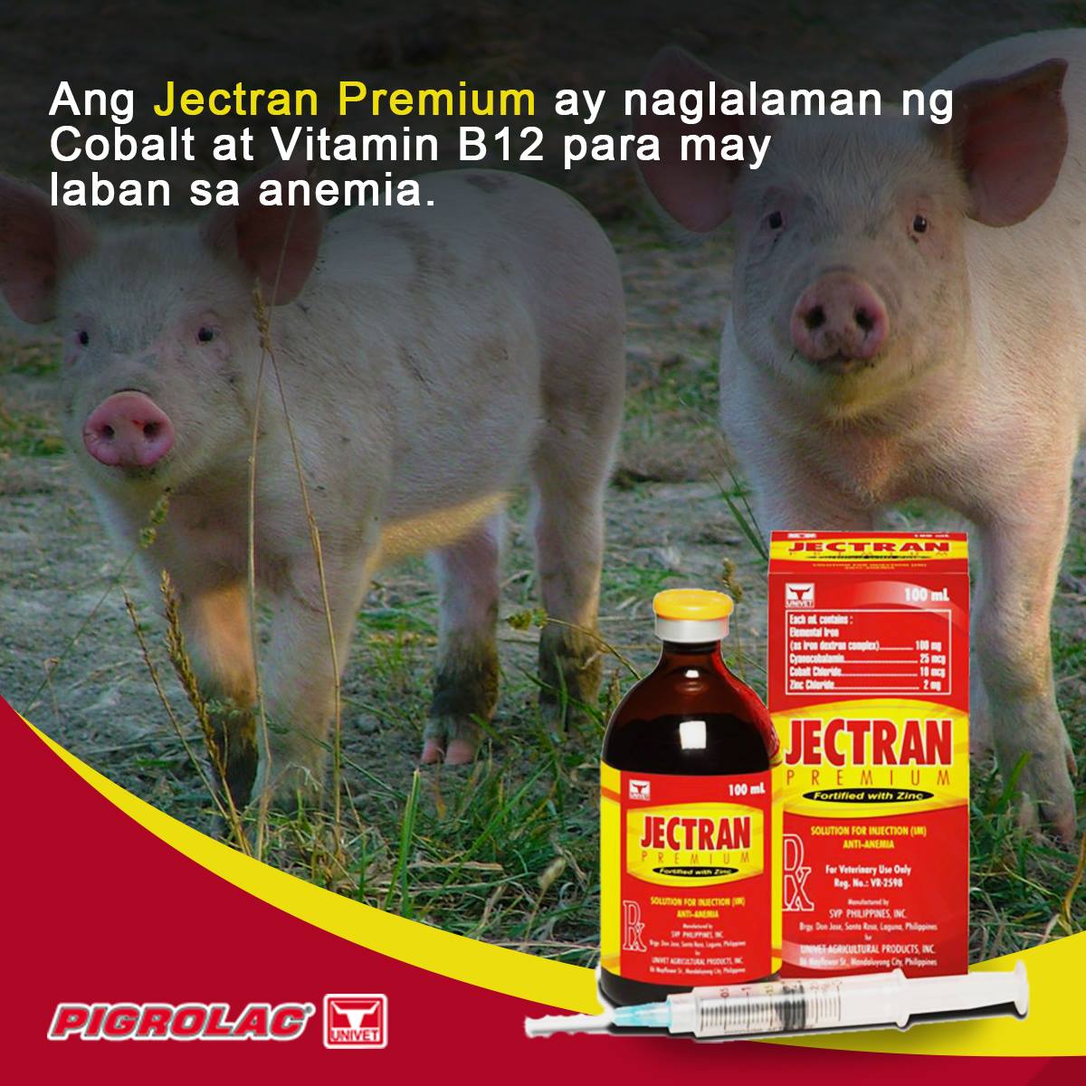 Pigrolac - Upang maiwasan ang problema ng mga biik sa... | Facebook