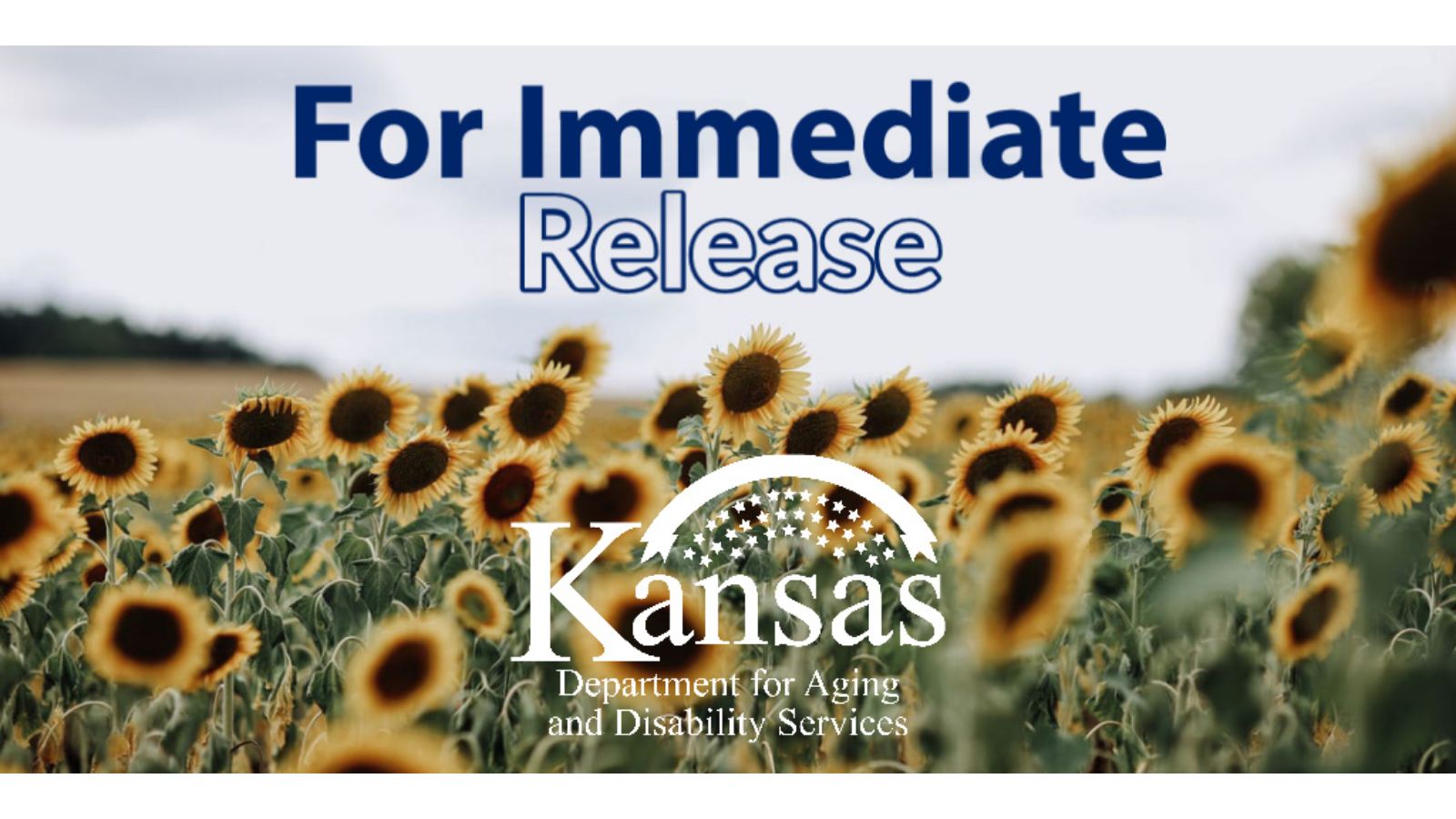 Kansas Department for Aging and Disability Services - KDADS Launches ...