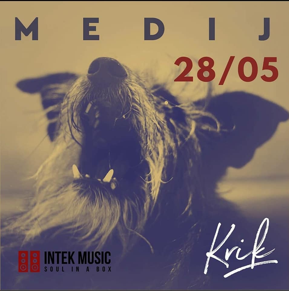 Medij